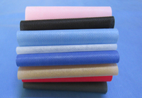 老边涤纶（PET）无纺布是什么