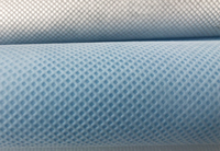 老边(PP)丙纶无纺布跟(PET)涤纶无纺布的区别